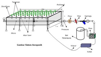 Aeroponik - Tujuan dan Manfaat