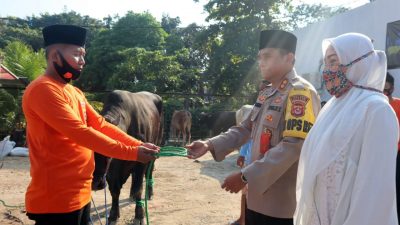 Polres Cilegon Melaksanakan Pemotongan Puluhan Hewan Qurban