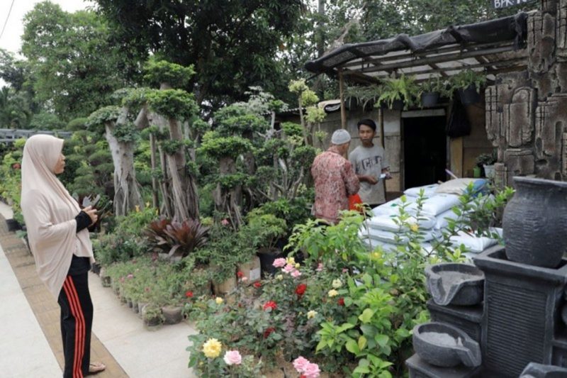 Penjual Tanaman Hias Tetap Meraih Keuntungan, Optimis Bisa Bertahan