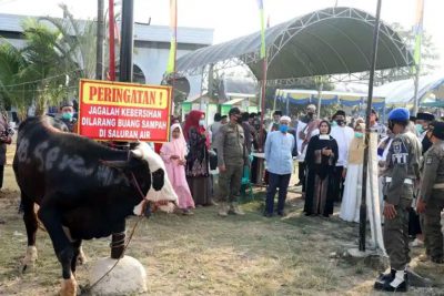 Pemkab Serang Salurkan Puluhan Hewan Kurban untuk Lembaga Keagamaan