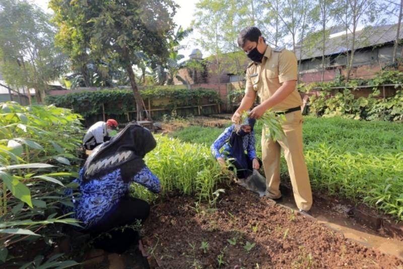 Perkuat Ketahanan Pangan: Pemkot Tangerang Terus Sosialisasikan Berkebun Kepada Warga