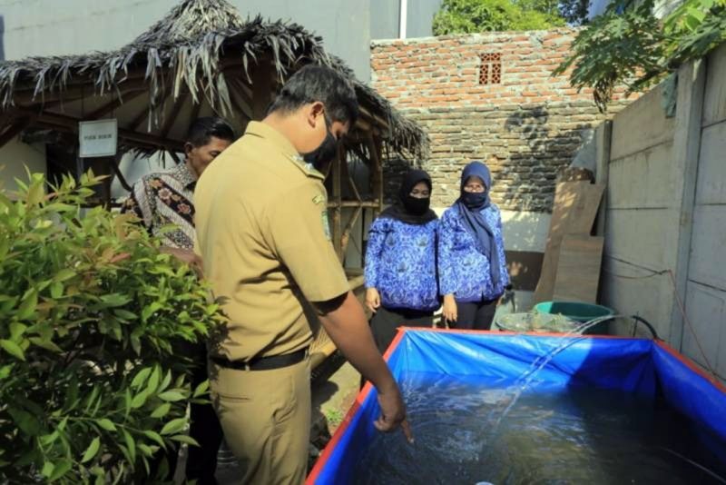 Perkuat Ketahanan Pangan: Pemkot Tangerang Terus Sosialisasikan Berkebun Kepada Warga