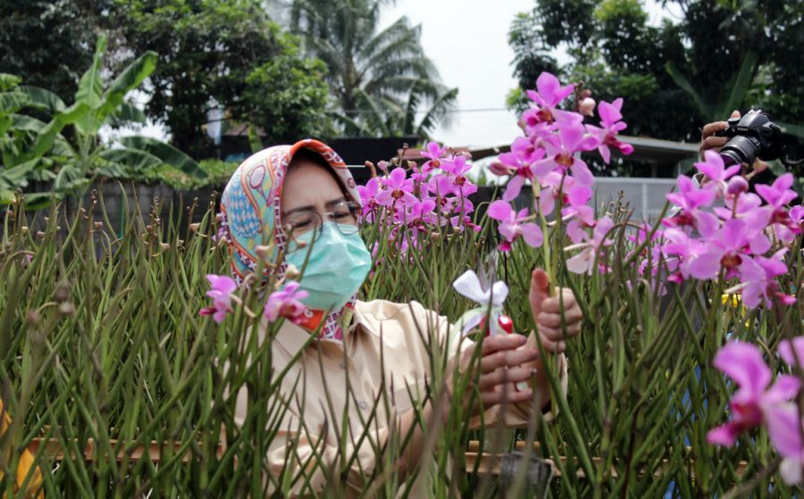 Airin Apresiasi Program Pertanian Anggrek Kelompok Wanita Tani Az-Zahra