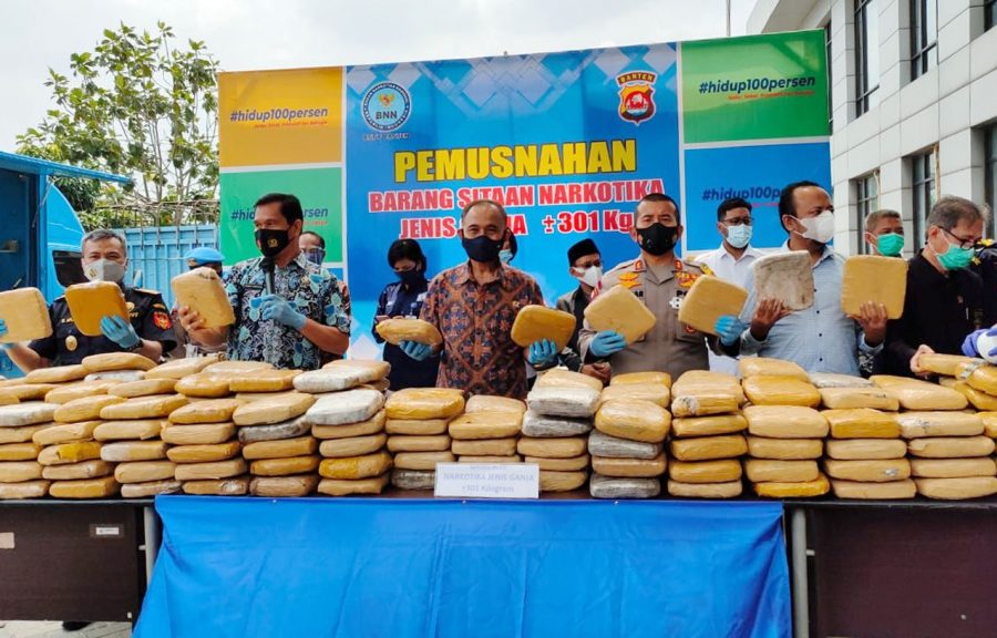 BNN Banten Musnahkan 301 Kg Ganja Kiriman Aceh