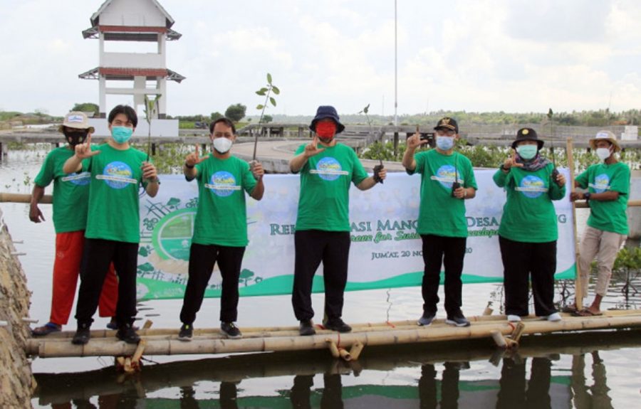 PLTU Lontar Tanam 5000 Mangrove di Ketapang Mauk Tangerang