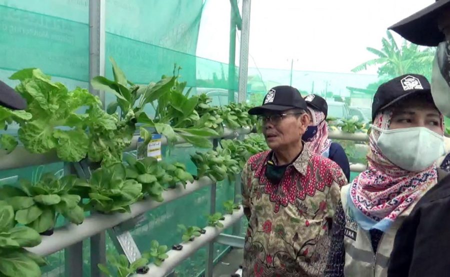 Fakultas Tehnik UNIS Tangerang Terapkan Aplikasi Sistem Monitoring Hidroponik di Desa Tegal Kunir