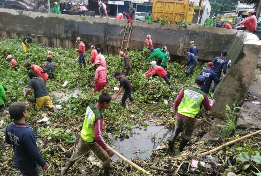 Antisipasi Banjir: DPU Tangsel Bersih-Bersih Enceng Gondok dan Lumpur di Situ 7 Muara