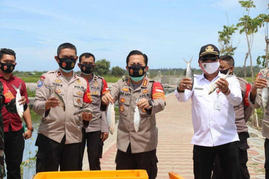 Kapolresta Tangerang Panen Ikan Bandeng Program Ketahanan Pangan di Kampung Pelelangan