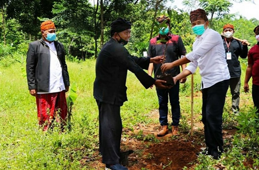 Lestarikan Alam, Masyarakat Kasepuhan Lebak Lakukan Penanaman 10.000 Pohon