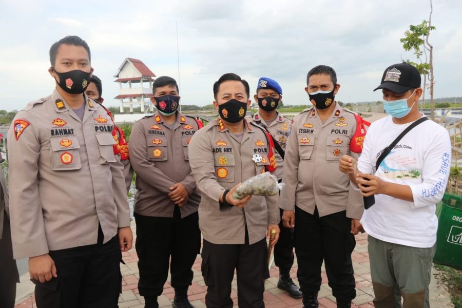 Kapolresta Tangerang Panen Udang Hasil Program Ketahanan Pangan