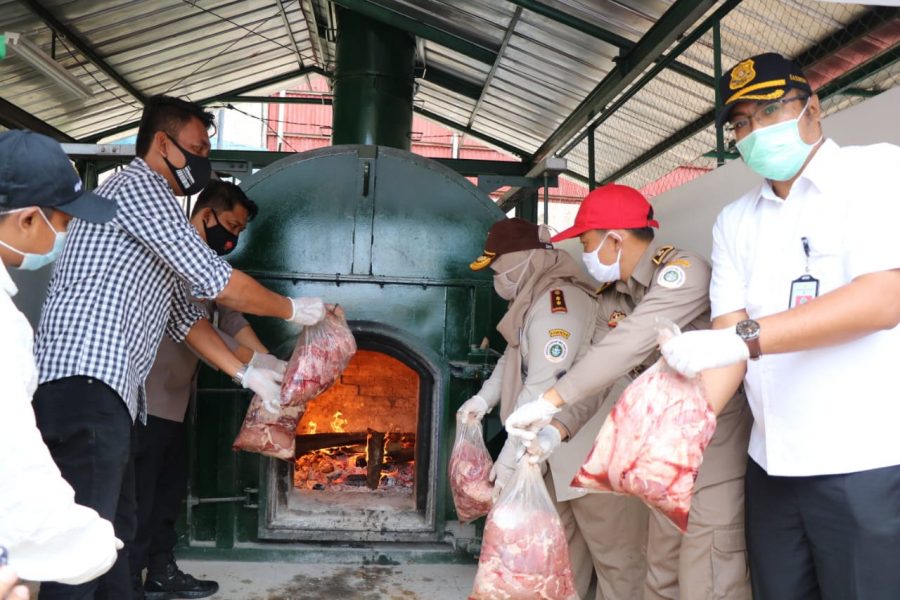 Karantina Pertanian Cilegon Musnahkan 4 Ton Daging Celeng Ilegal