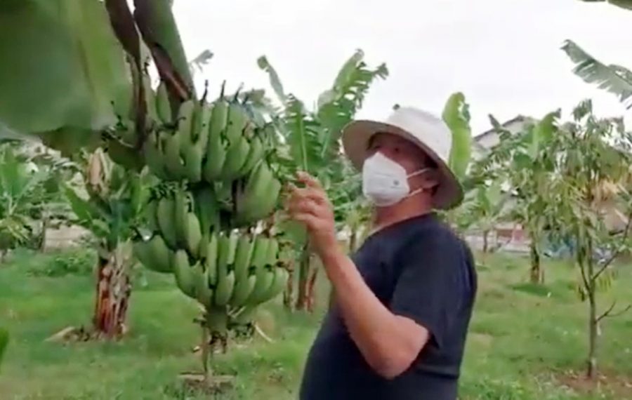 WH Santai Berkebun di Tengah Masa Vaksinasi Kabupaten/Kota di Provinsi Banten