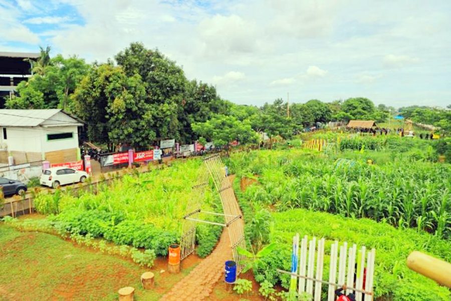 Kota Tangerang Punya Tempat Agrowisata Ecofarm Seluas 3000 Meter di Karawaci