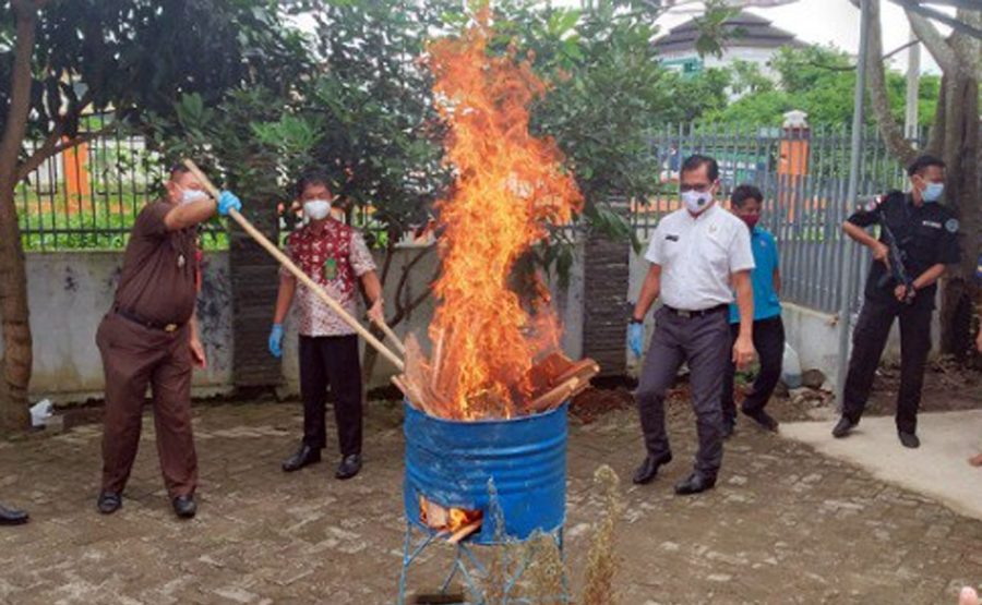 BNNP Banten Musnahkan Barang Bukti 1.Kg Sabu dan 1,3.Kg Ganja Kering
