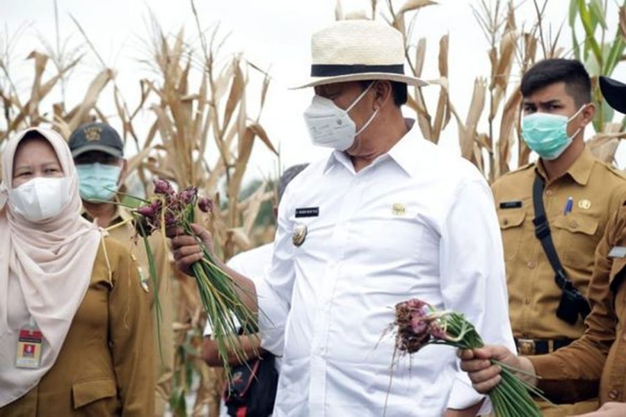 Dongkrak Perekonomian, Pemrov Banten Maksimalkan sektor Pertanian dan Kelautan