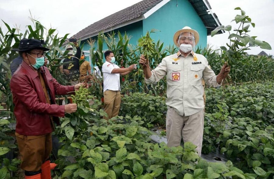 Pemprov Banten Beri Bantuan Benih dan Sarana Produksi Kepada Petani Kacang Kedelai