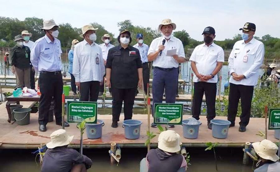 Bupati Tangerang Dampingi 4 Menteri Negara Tanam Mangrove di Desa Tanjung Pasir