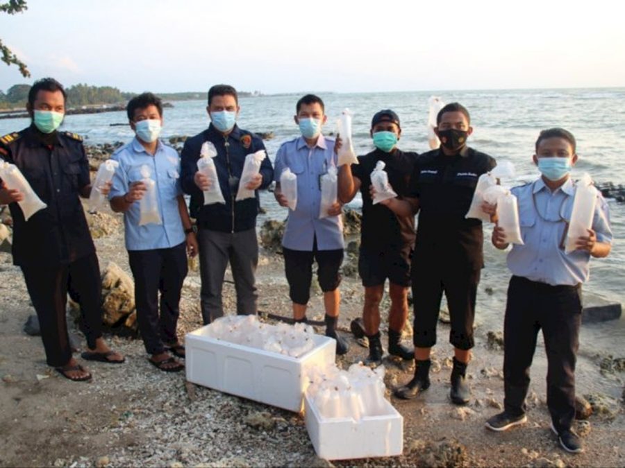 Polda Banten Tangkap Pelaku Penyeludupan Benih Lobster