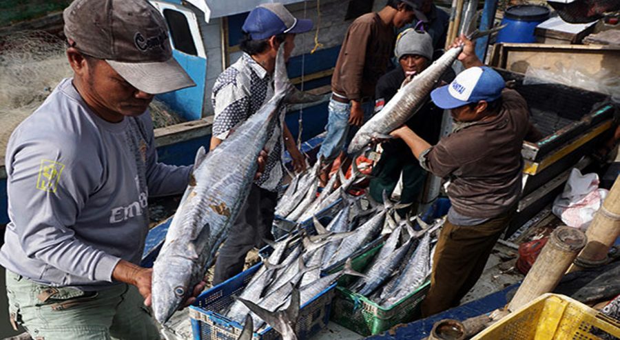 Provinsi Banten Memiliki Potensi Besar untuk Dikembangkan Menjadi Daerah Perikanan