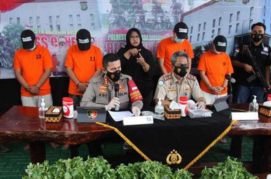 Polresta Bandara Soetta Meringkus Empat Pelaku Penyelundup Benih Lobster