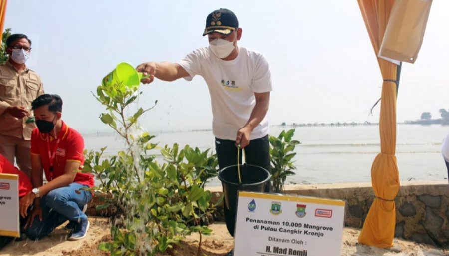 Cegah Abrasi, Pemkab Tangerang Tanam 10 Ribu Pohon Mangrove di Pulau Cangkir