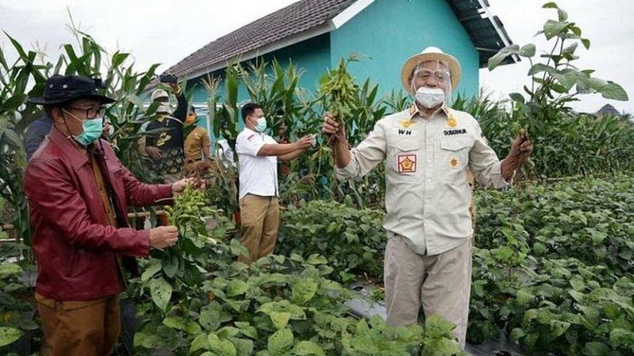 Pemprov Banten Salurkan Pupuk Tanaman Subsidi di Semua Kabupaten/Kota