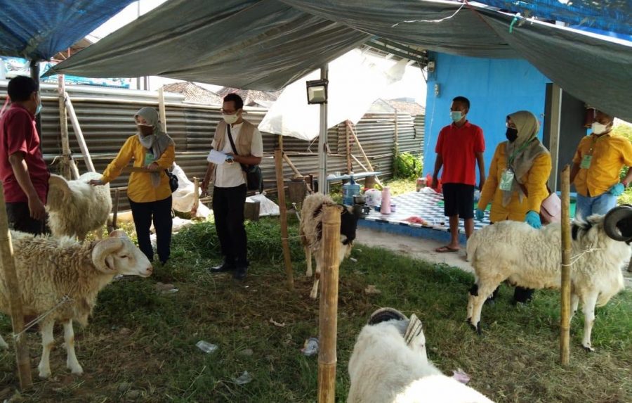 Pemprov Banten Monitoring Kesehatan Hewan Kurban dan Prokes Pedagang