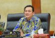 Martin Manurung Minta Menteri BUMN Tanggung Jawab Pengangkatan Emir Moeis