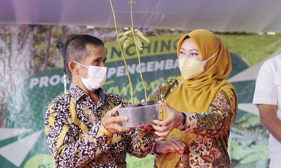 Tingkatkan Ekonomi, Bupati Pandeglang Gandeng Pihak Swasta Bangun Perkebunan Sengon