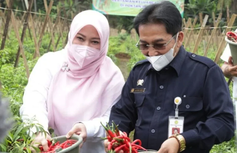 BKP Akan Menambah Program PK di Pandeglang Tahun Depan