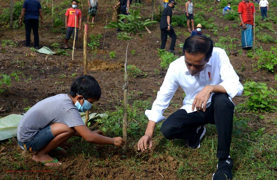 Presiden Jokowi Lakukan Penanaman  Pohon Bersama Masyarakat NTB