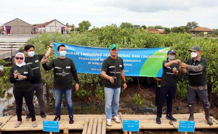 Hijaukan Indonesia, PT PNM Tanam 10.000 Pohon Mangrove di Desa Ketapang