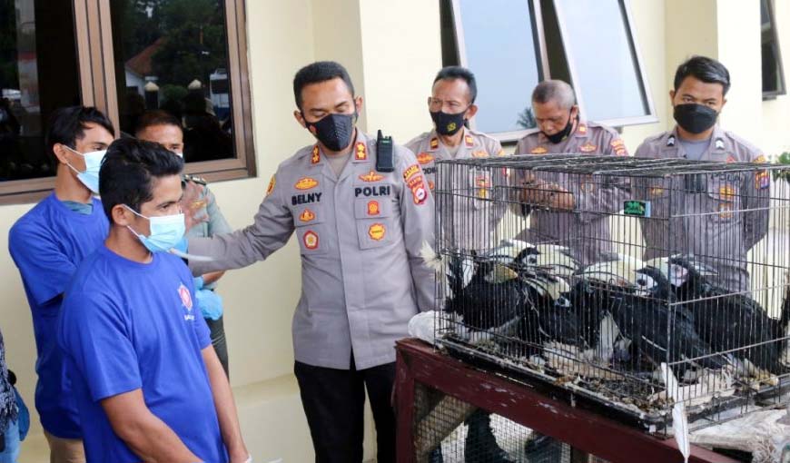 Satreskrim Polres Pandeglang Tangkap 2 Penjual Satwa Langka