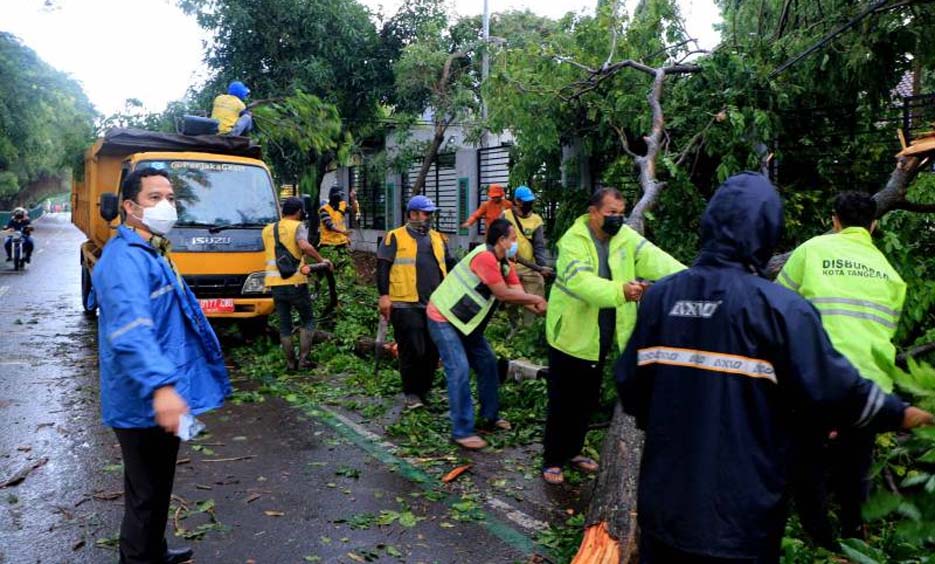 Pemkot Tangerang Gerak Cepat Tangani Pohon Tumbang Akibat Hujan Angin