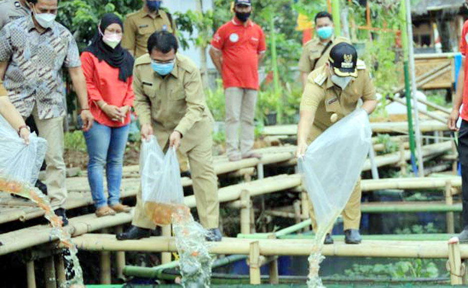 Walikota Arief Sebar 1.500 Bibit Ikan Nila di Kampung Kerambah Periuk