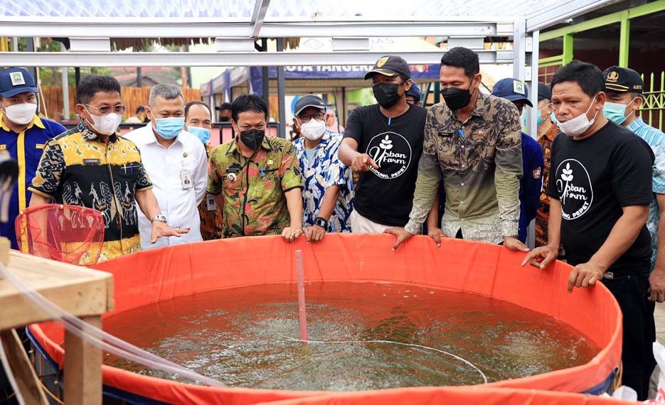 Kampung Pepet Urban Farm Layak Dikunjungi untuk Berwisata Edukasi