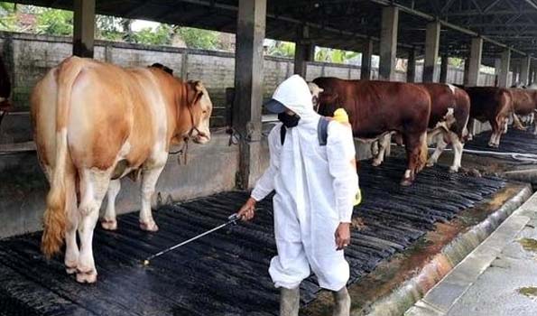 DPKP Tangerang Lakukan Penyemprotan Disinfektan di 9 Lokasi Peternakan