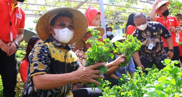 Sachrudin Apresiasi Peresmian Rumah Bibit dan Magot Anthurium Alfamart