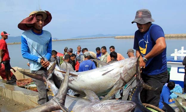 Pemkab Lebak Optimistis Binuangeun Sebagai Sentra Ikan Terbesar