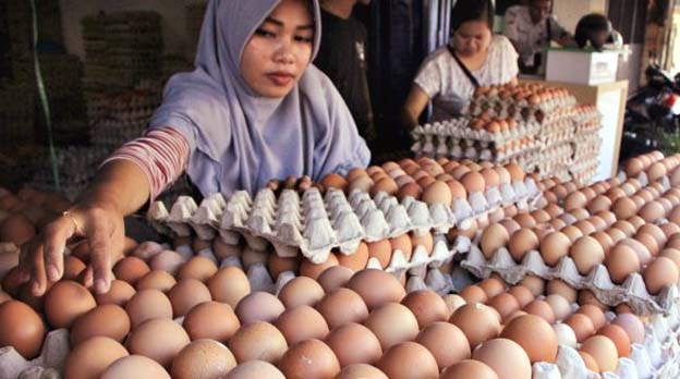 Harga Telur Ayam Saat Ini Naik Menjadi Rp31.000 Per Kilogram