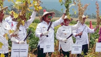 Mentan Optimis Kabupaten Serang Jadi Sentra Kedelai Varietas Migo