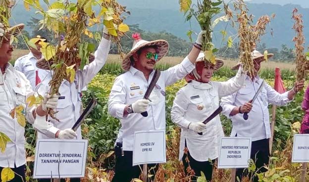 Mentan Optimis Kabupaten Serang Menjadi Sentra Kedelai Varietas Migo