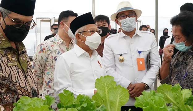 Al Muktabar Dampingi Ma’ruf Amin Meninjau Pertanian Modern