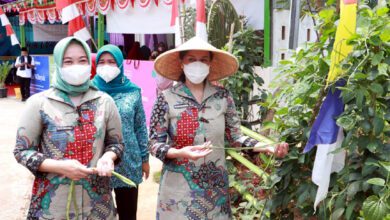 Yuli Zaki Imbau Kaum Perempuan Kreatif di Masa Pemulihan Ekonomi