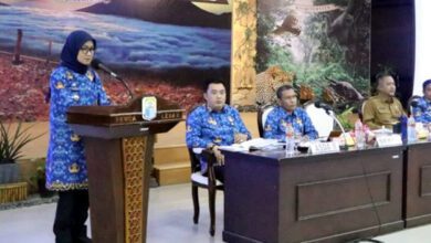 Rencana Pembangunan Industri Kabupaten Lebak 2022-2042