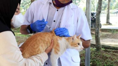 DPKP Kabupaten Tangerang Gelar Vaksinasi Rabies Hewan Peliharaan