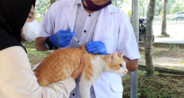 DPKP Kabupaten Tangerang Gelar Vaksinasi Rabies Hewan Peliharaan