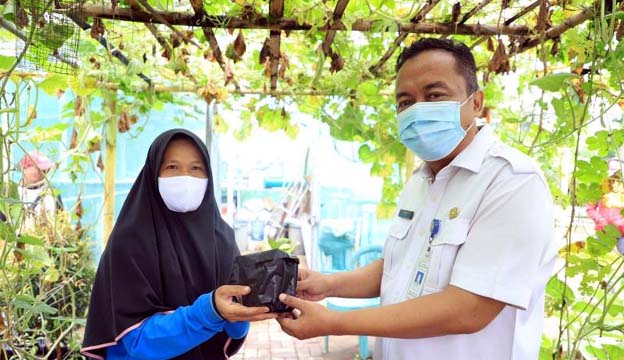 DKP Kota Tangerang Bagikan 62 Ribu Bibit Sayuran ke Masyarakat