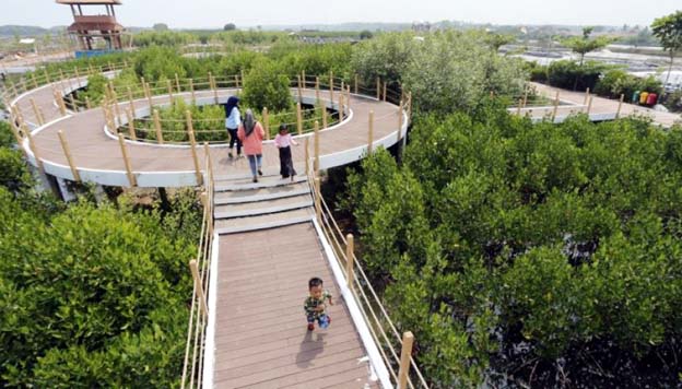 IPB University Apresiasi Pengelolaan Pesisir oleh Bupati Tangerang