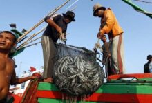 Dampak BBM, Nelayan Lebak Tetap Melaut untuk Menangkap Ikan